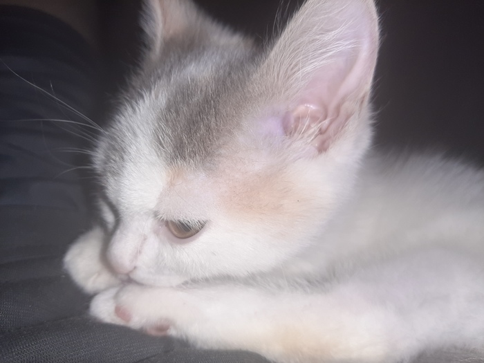 ��� ����