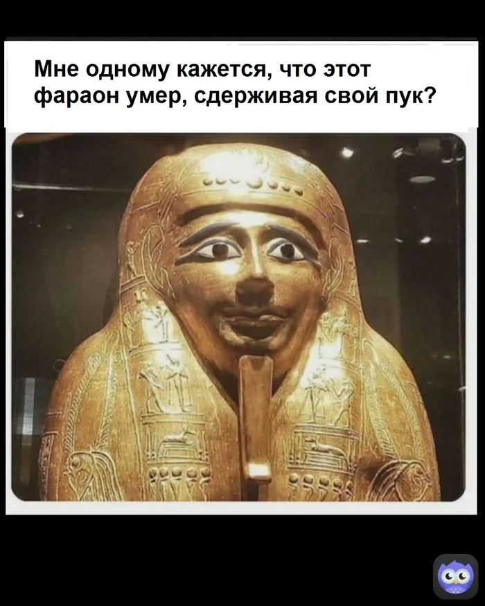 What are your options? - Humor, Picture with text, Pharaoh, Ancient Egypt, Sarcophagus, Story