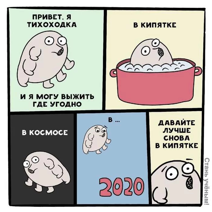 Tardigrade - Humor, 2020, Tardigrade, Survival, Chilik
