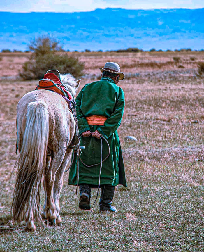 Only my horse and I are walking along the Gobi - Mongolia, The photo, Gobi, Horses, Animals, Desert