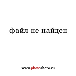 Today is the last day of work for the photoshare.ru website. - Catch up before closing, Last day, The photo, Runet, 2000s, Longpost