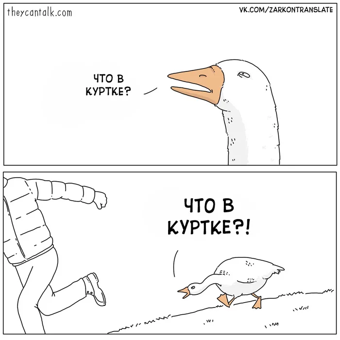 Feathers - Theycantalk, Comics, Translation, Translated by myself, Гусь, Humor, Fluff