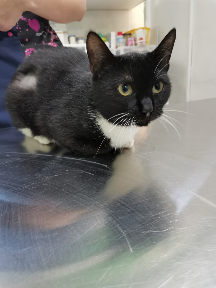 ������ � ������ ���� �������� �����, �����-���������