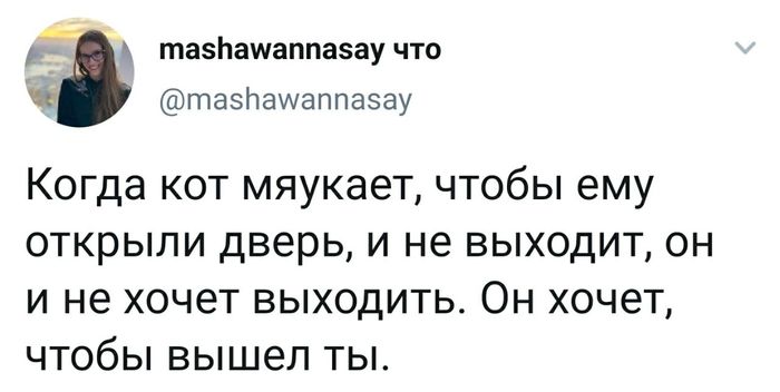 А ты что думал