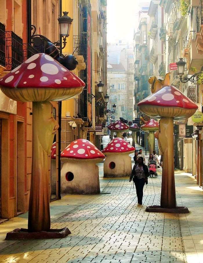 Mushroom street in Alicante - Alicante, Spain, Mushrooms, The photo, Travels, Tourism, Andalusia, Fly agaric