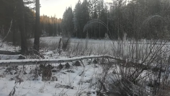 Ещё одна оболденная рыбалка на налима! - Моё, Рыбалка, Налим, Зимняя рыбалка, Видео, Длиннопост