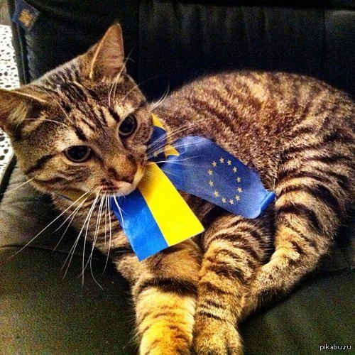 Стоит ли просить убежище в Украине?