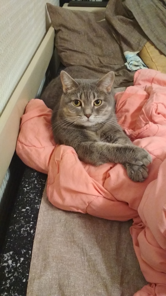 �� �� ����� �����?