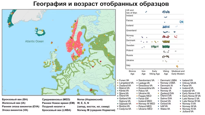 Who were the Vikings from a genetic point of view? Genetic history of Scandinavia - My, Story, The science, Викинги, Population genetics, Longpost, Video, Scandinavia, GIF