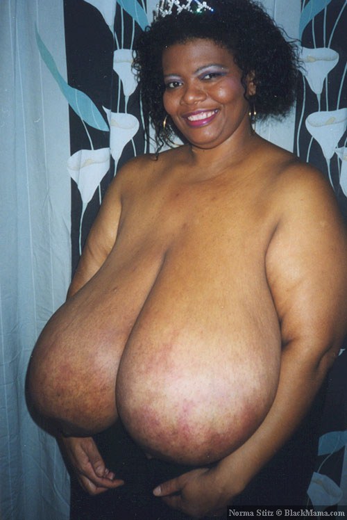 Boobs from the Past: Norma Stitz - Read and Cry - NSFW, My, Girls, 18+, Porn, Porn Actors and Porn Actresses, Erotic, Breast, Boobs, Booty, Biography, Scandals, intrigues, investigations, Interesting, Video, Longpost