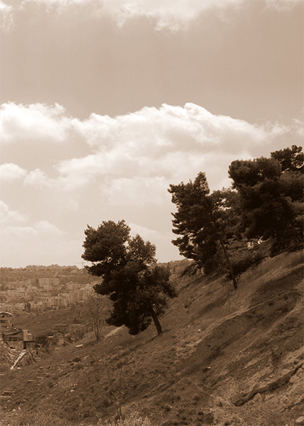 Portrait Jerusalem Old and New - My, Portrait, Jerusalem, Longpost