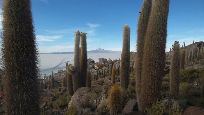 Latin American checkmark - Salar de Uyuni (03.12.2019) - end - My, Travels, Tourism, South America, Longpost, Series Latin American Tick 20192020