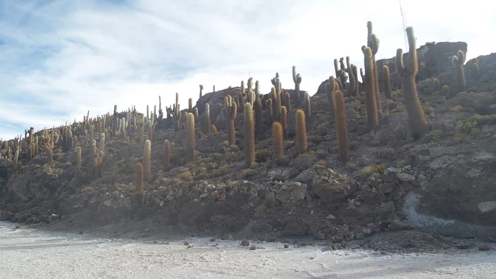Latin American checkmark - Salar de Uyuni (03.12.2019) - end - My, Travels, Tourism, South America, Longpost, Series Latin American Tick 20192020