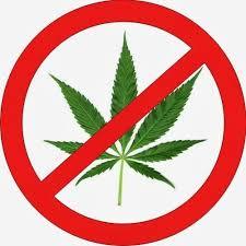 The UN has removed cannabis from its list of particularly dangerous drugs. Russia voted against - Drug fight, Politics, UN, Drugs, Marijuana, Medical Cannabis