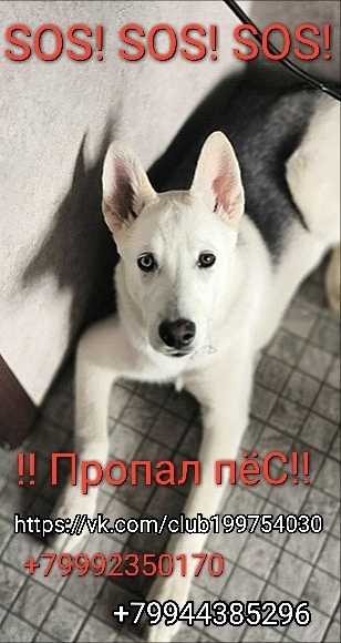 SOS ������ ���