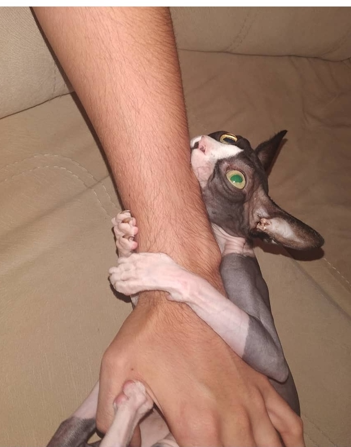 ������� ������ ������ �� ������� ������