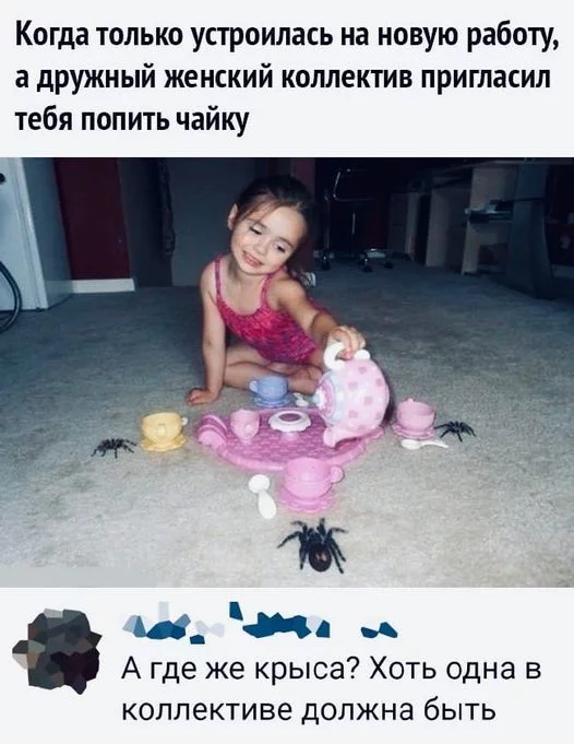 Friendly team - Humor, Picture with text, Girl, Spider, Kettle, A cup, Comments, Children