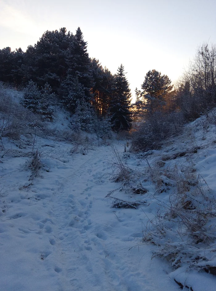 An evening walk - My, Nature, Evening, Dog, Udmurtia, Mobile photography, Sunset, Pond, On ice, Longpost