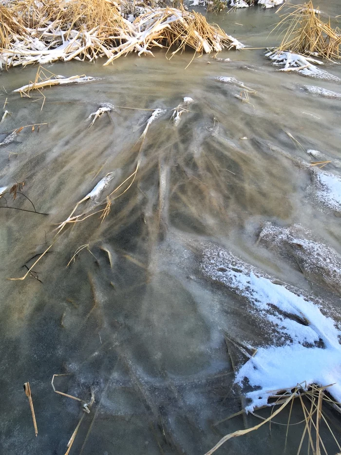 Beautifully frozen grass on the Volga - My, Ice, Grass, Winter, The photo, Volga river