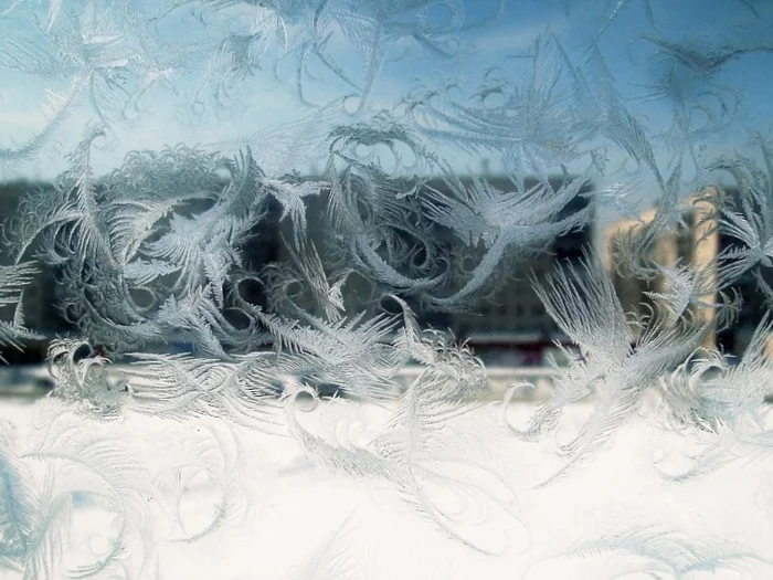 Ice birds - My, Winter, Patterns on the window, freezing, Nature