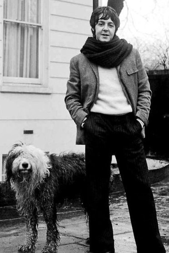 Paul McCartney's dog - Martha - Paul McCartney, Dog, Longpost