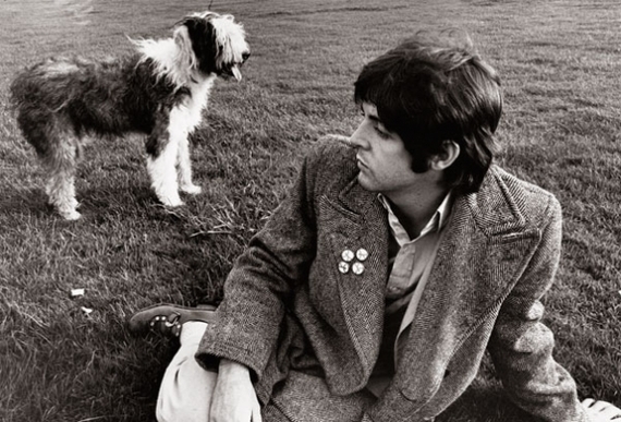 Paul McCartney's dog - Martha - Paul McCartney, Dog, Longpost