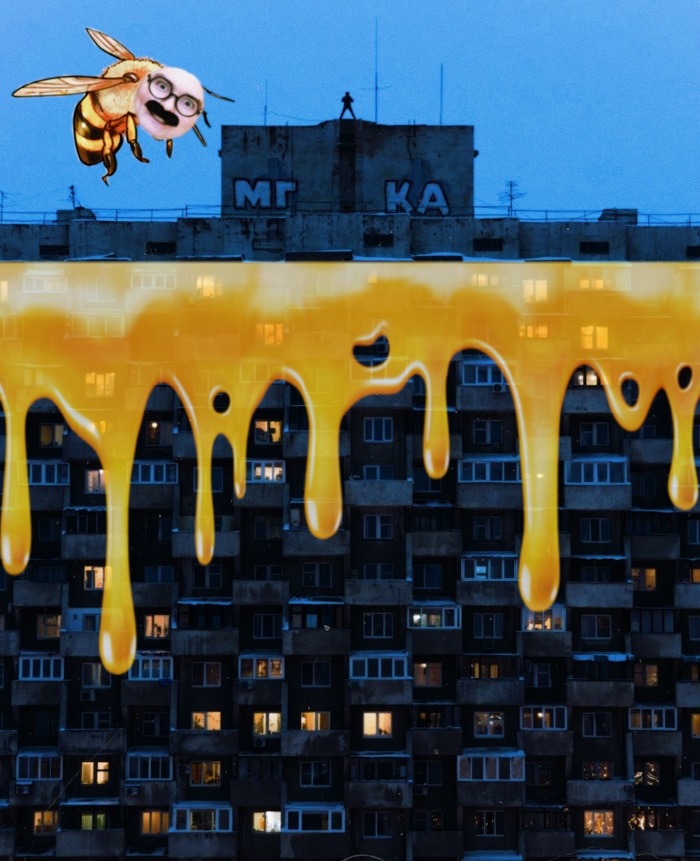 ����� ��������