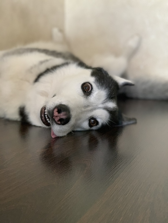 ������, ���� �����!