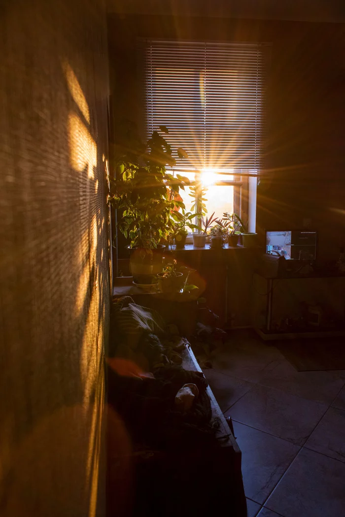 Sun in the window - My, The sun, Window, Antechamber, Sun rays, I want criticism, Nikon