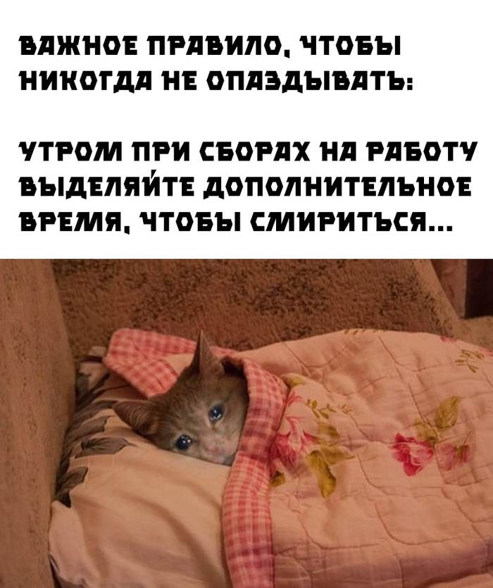 Лайфхак