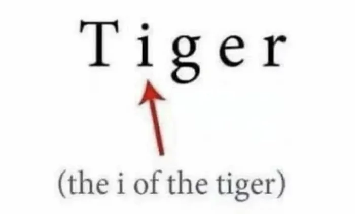 And it's true - Picture with text, Eye of the tiger