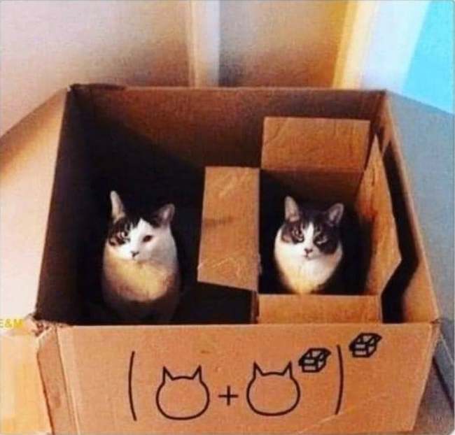 Schrodinger's Matryoshka - cat, Box