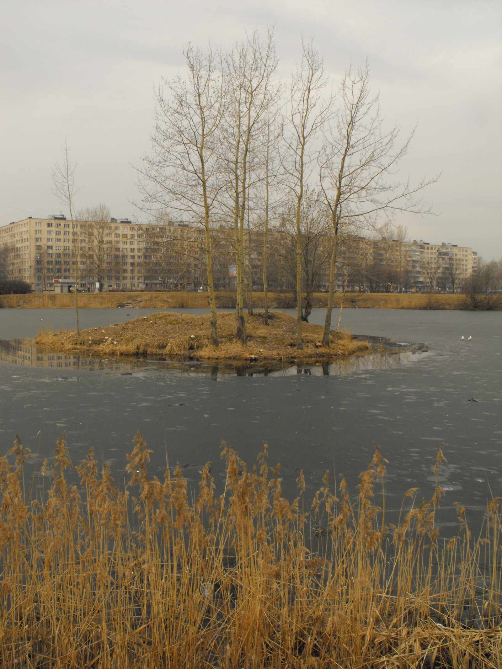 Harsh, spring Kupchino :) - Kupchino, Saint Petersburg, Prospect of Glory, Longpost