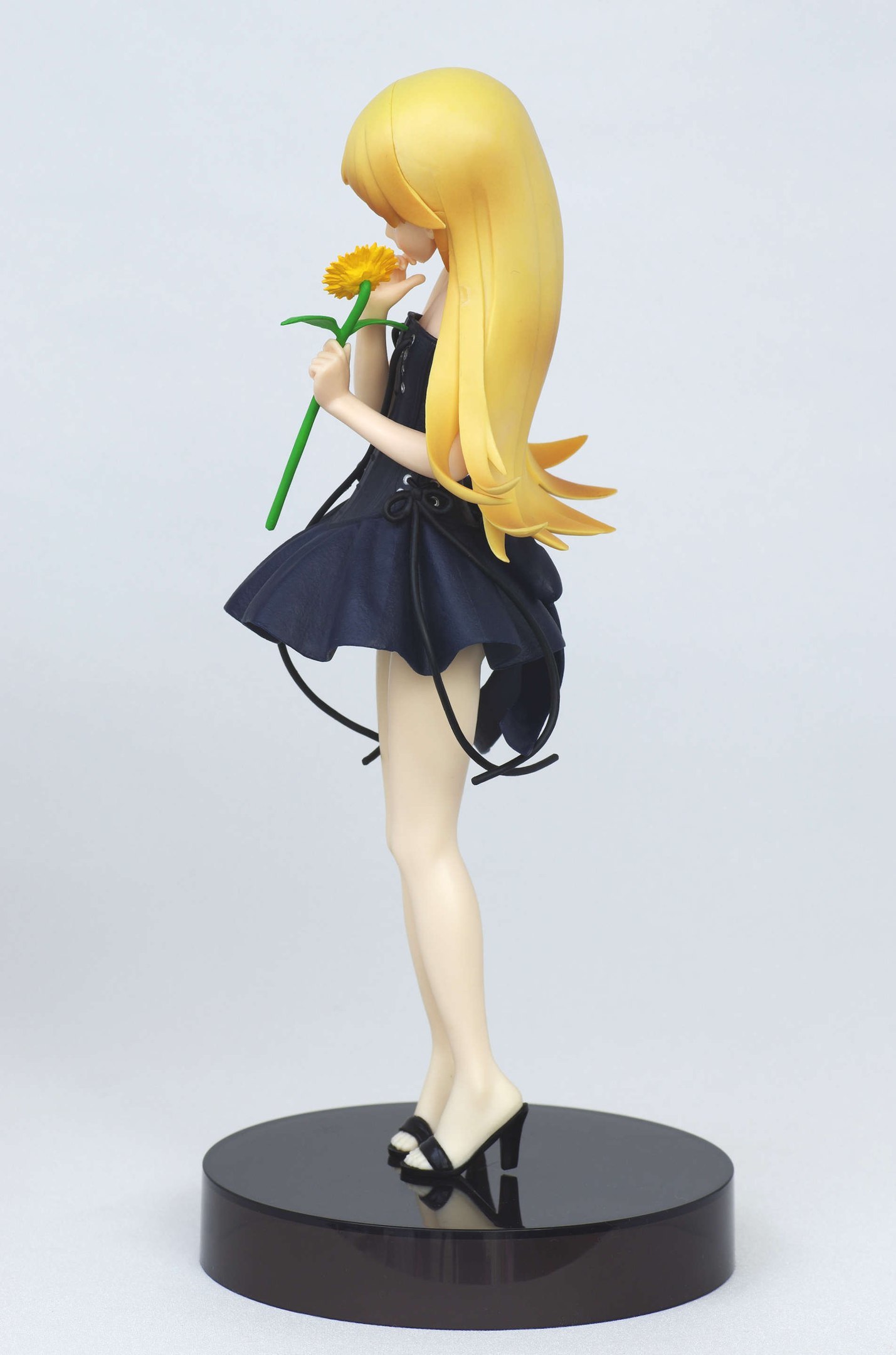 Только без истерик)
 - Панцу, Anime figures, Этти, Monogatari series, Shinobu Oshino, Длиннопост