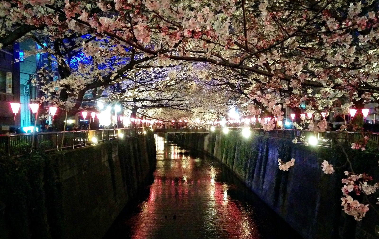 Meguro - a river dotted with sakura - Japan, Tokyo, Sakura, Flowers, The photo, Unusual, Beautiful, Longpost