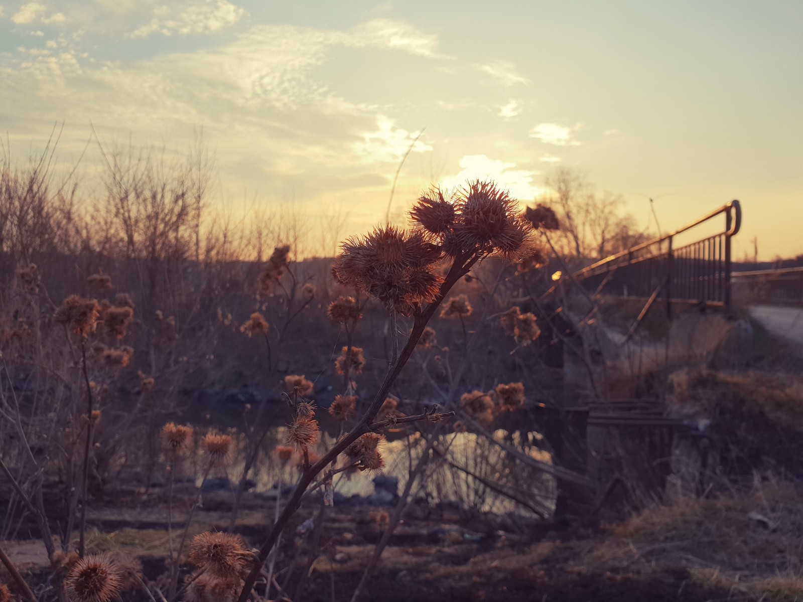 Spring at the reservoir. - My, Spring, Tula region, Sunset, Nature, Water, Longpost