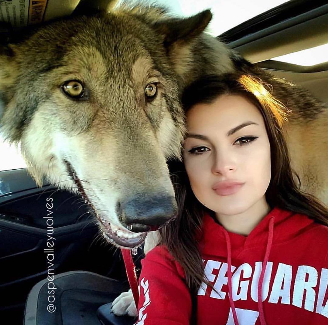 Gray top - Wolf, Girls, Auto, Animals, People