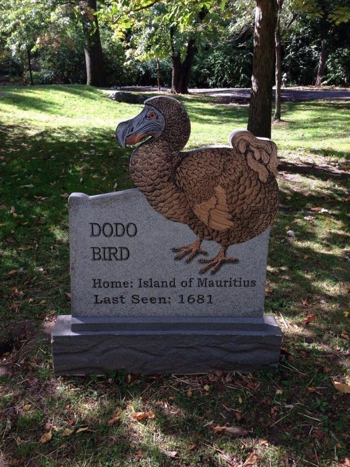 Eternal mute reminder to reasonable man. Carved in stone. Bronx Zoo, New York (USA). - From the network, In contact with, Nature, Extinct species, Longpost