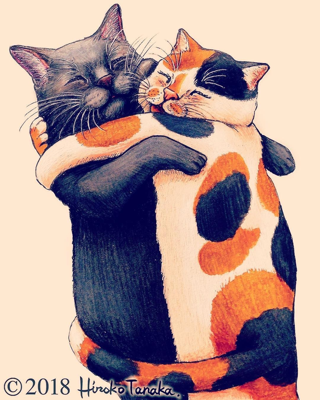 Gorgeous cats by Hiroko Tanaka - cat, Illustrations, Drawing, Animals, Portrait, Sketchbook, Longpost