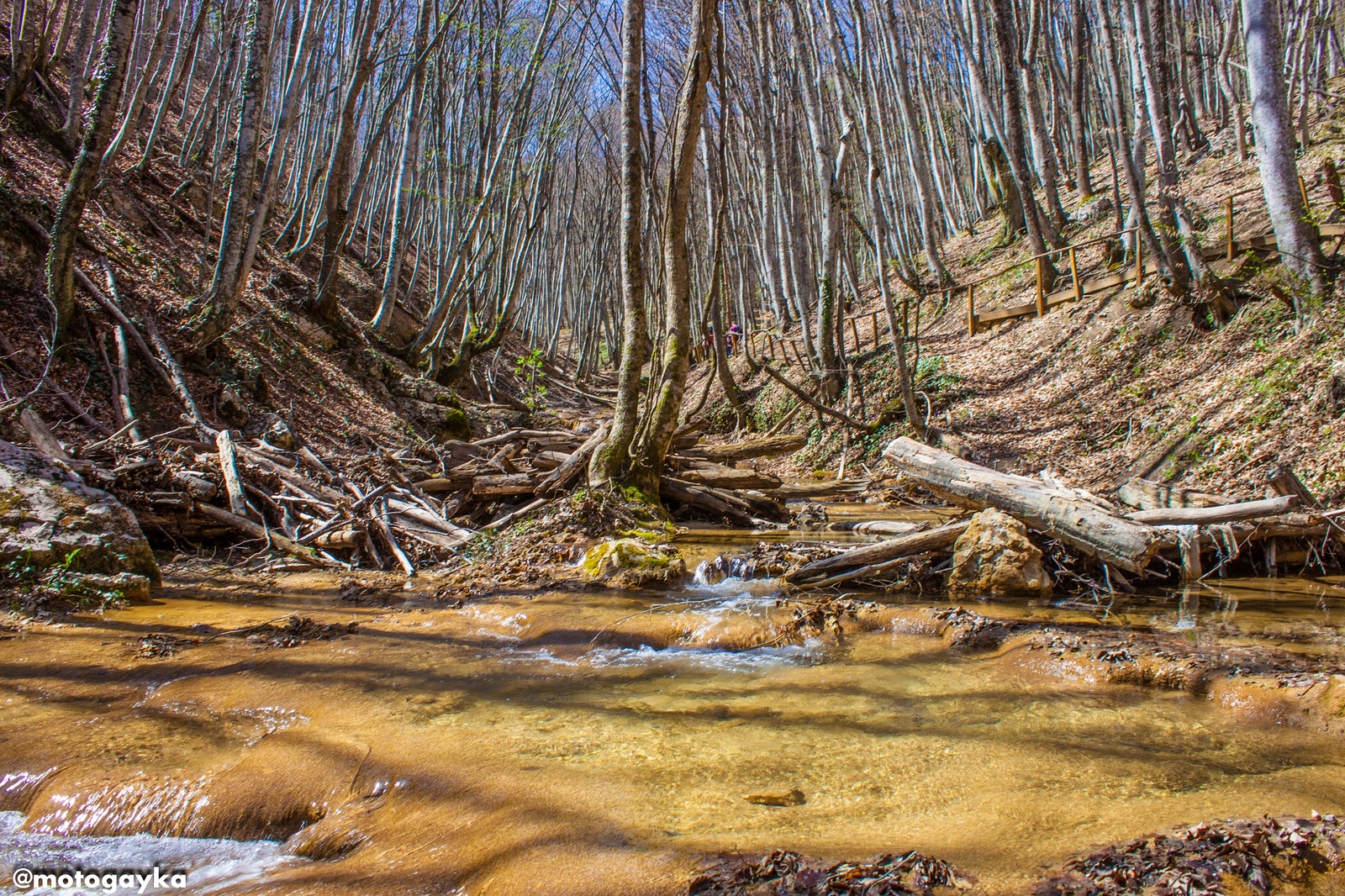 Crimea: spring, not just around the corner and summer! - My, Black Sea, Crimea, Nature, Sea, The mountains, Longpost