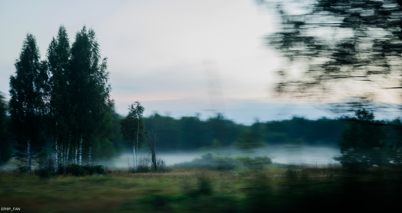 By train to Velikiye Luki... - My, Russian Railways, , dawn, Atmosphere, A train, Road, Railway, Longpost