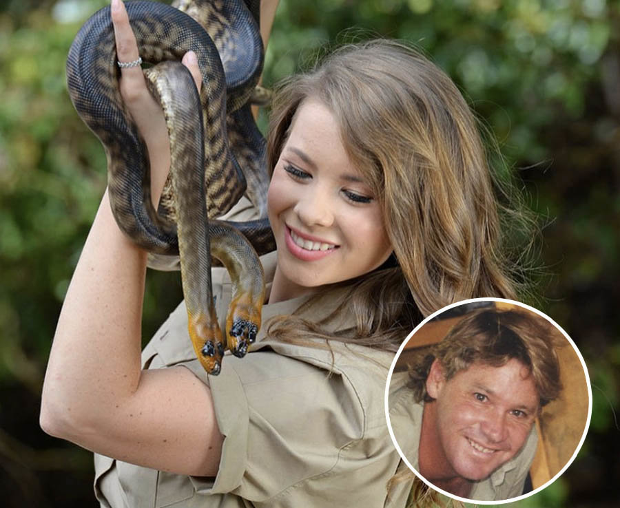 Steve Irwin finally got his star on the Walk of Fame - Steve Irwin, , Children, Longpost, Crocodile Hunter, Walk of Fame