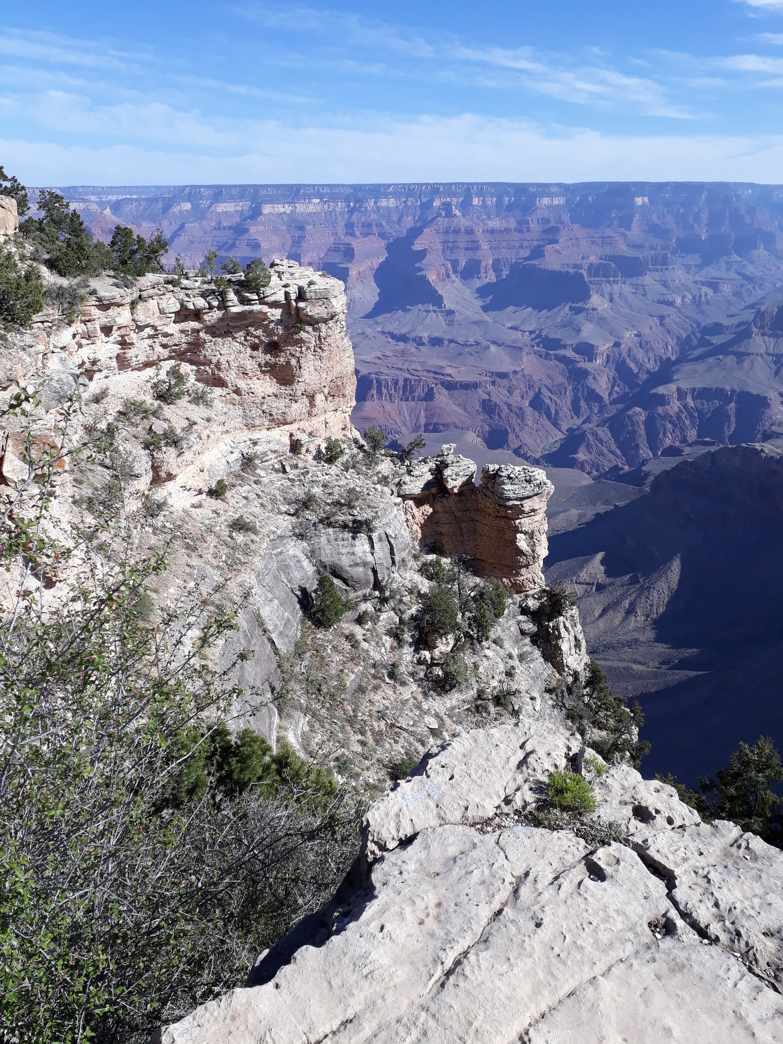 Squirrel and Grand Canyon - My, Travels, USA, Squirrel, Chipmunk, Nature, beauty, , Longpost