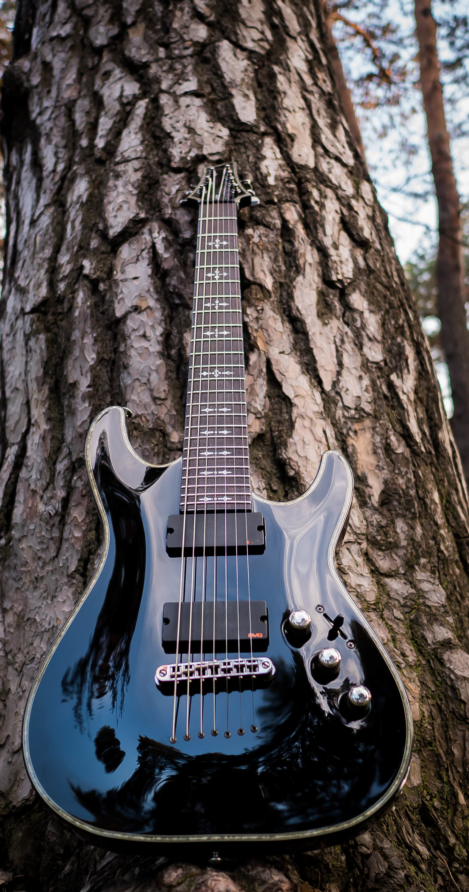 #4. SCHECTER HELLRAISER C-7 (gloss black) - My, Aesthetics, beauty, Nature, The photo, Electric guitar, Guitar, Dream, Forest, Longpost