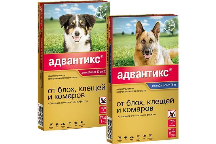 Tick ??tablets for animals - Dog, , Prophylaxis, Longpost