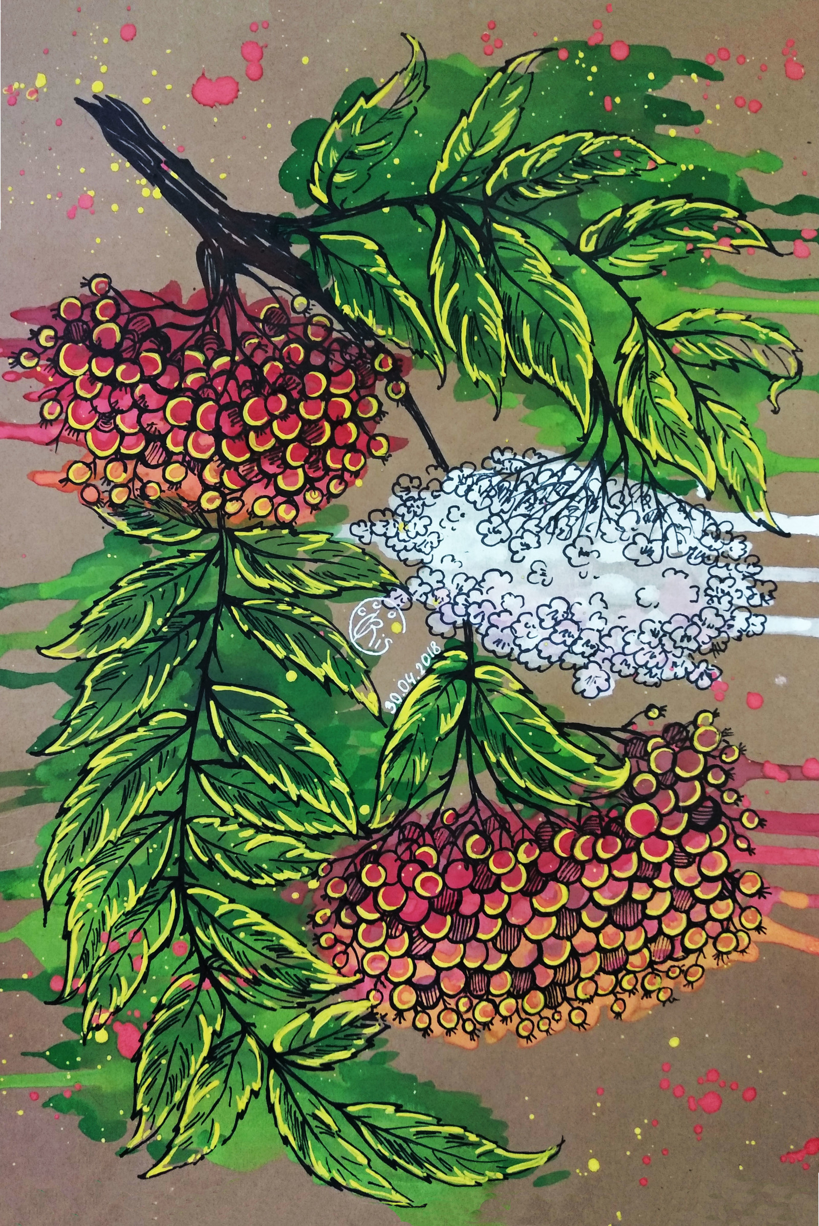 Rowan. - My, Drawing, Craft paper, Gouache, Marker, Rowan, Berries, Leaves, Flowers