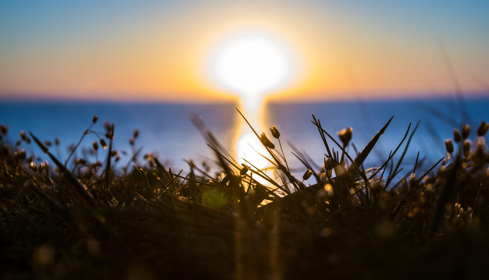 Sunset on wild omega. - My, Sevastopol, Sunset, Canon 60d, Helios 44m, Beginning photographer, Helios 44m