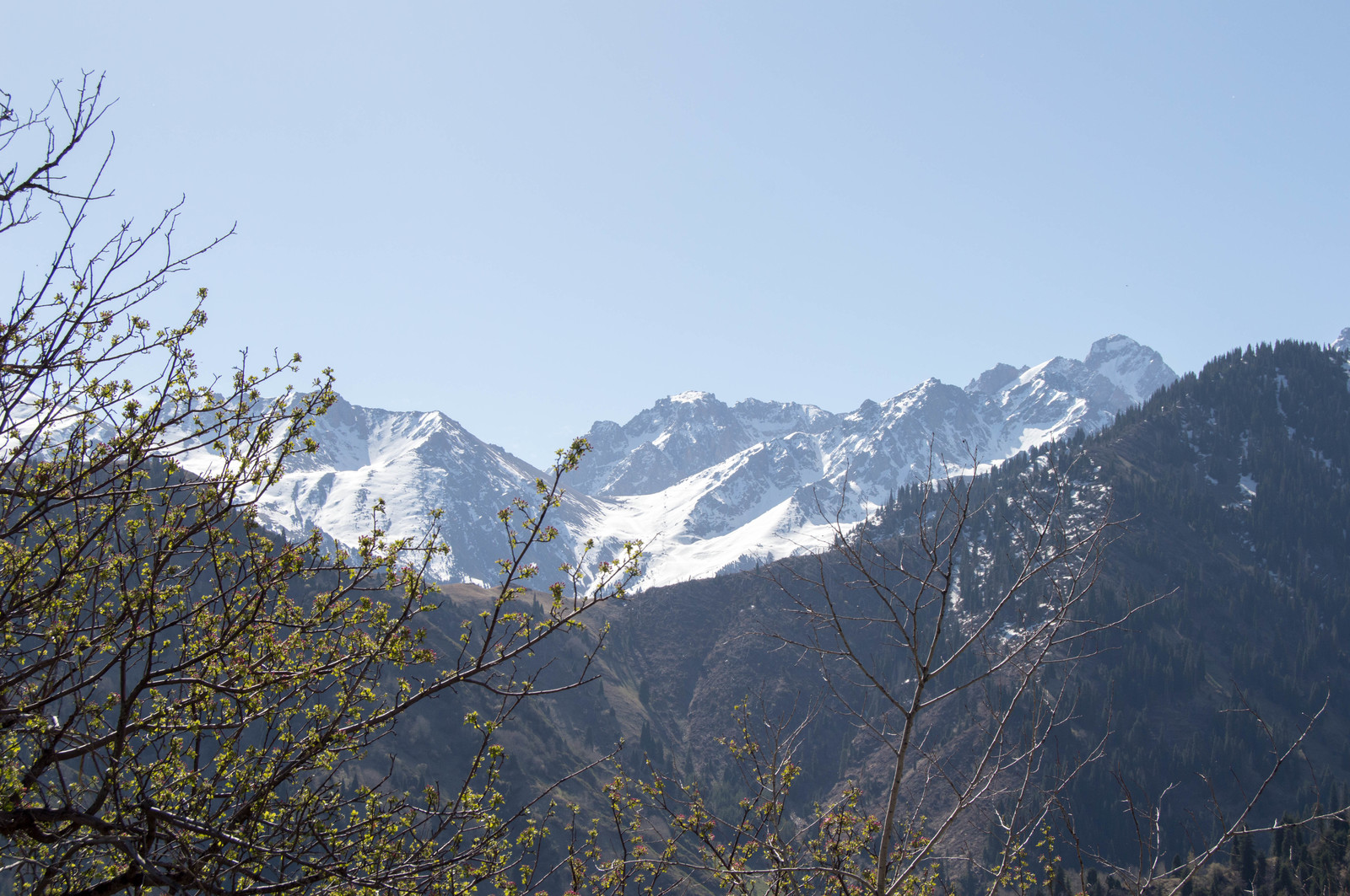 Weekend route Kok-Zhailau plateau, Almaty - My, Nature, The mountains, Longpost, Almaty, Nikon d3200