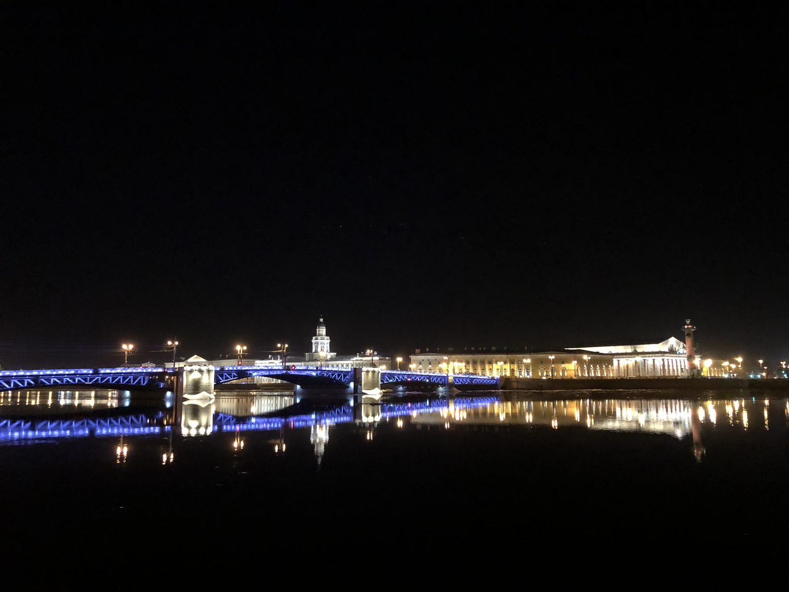 northern capital - My, Saint Petersburg, Night, cat, Longpost