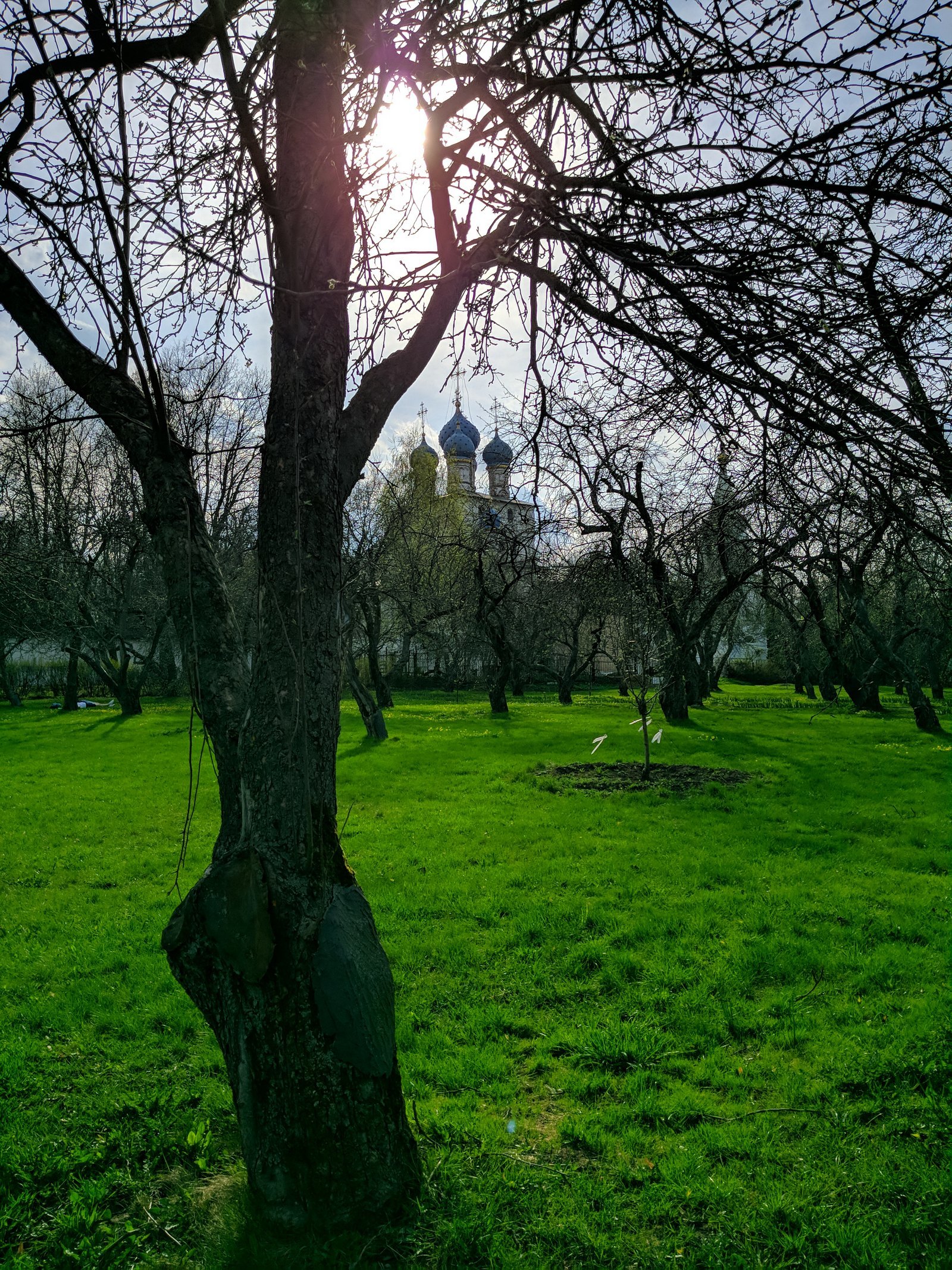 Walk in Kolomenskoye - My, Spring, Kolomenskoe, Mobile photography, Moscow, LG G6, Longpost